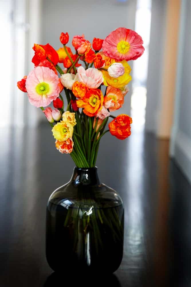 Sally Flegg Photography Writers/film makers and promo image 10